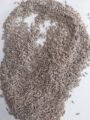 Cumin seeds