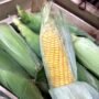 Sweet corn