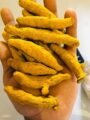 Turmeric Finger - Image 2