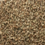 Ajwain Seed - Image 2