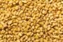 Fenugreek Seeds